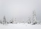  výhled od Chalupy na Rozcestí na Sněžku :-)